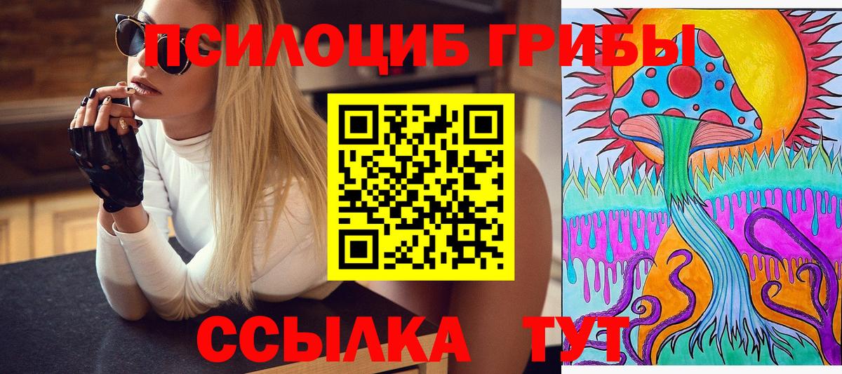 Псилоцибиновые грибы Psilocybine cubensis  Вход с VPN  хочу наркоту  Среднеуральск 